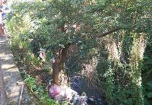 撞飛老婦扯沒看見! 女駕駛遭肇事逃逸函送法辦 圖/竹東警分局提供