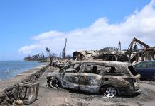 極端氣候致災引爆恐慌 美國1成民眾陷「氣候焦慮」 有專家指出,極端氣候是導致夏威夷茂宜島野火災情慘重的原因之一。圖/取自Governor Josh Green推特。