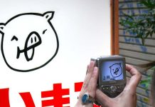 大野狼躺著贏「三隻小豬」?! 單厚之:郭粉掉光獨立參選恐有問題 示意圖/pexels