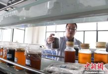 中國製地溝油燃料疑造假 低價傾銷衝擊德國業者 圖為蘭州市餐廚廢棄物資源化處理廠實驗室,將地溝油「變廢為寶」。圖/取自中新社