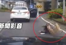人命不如豬?!高速公路女跳車罰500元 豬跳車罰車主18000元 圖/翻攝社會事新聞影音