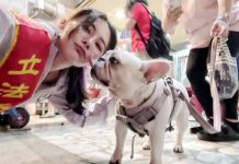 立委空戰力比一比 誰的戰力最強? 民進黨立委賴品妤最近因為「綠電政治獻金」、「跌倒」事件,躍居立委「聲量王」。圖/取自賴品妤臉書。