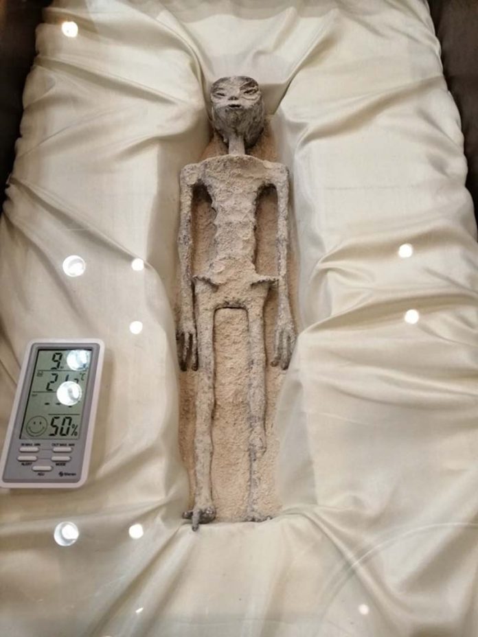 墨西哥記者Jaime Maussan提供的外星人遺骸。圖／Jaime Maussan臉書