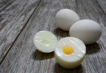 小學生都不敢吃蛋了!! 陳吉仲溜之大吉這樣對嗎? 圖/取自網路素材