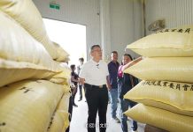 陳吉仲曾自豪進口蛋創60億效益 柯文哲:現在又怎麼算? 柯文哲批陳吉仲曾自豪的進口雞蛋效益,又該怎麼算?圖/取自柯文哲臉書