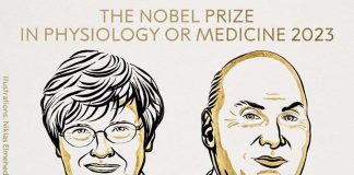 2023年諾貝爾醫學獎揭曉，由匈牙利裔美籍生技科學家卡里科與美國醫學家魏斯曼（右）共享殊榮。圖／取自諾貝爾獎粉絲專頁
