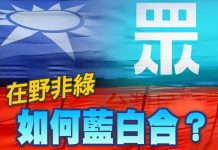 在野非綠如何藍白合? (圖/獨家報導主筆室)