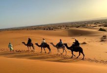 北非花園-摩洛哥 圖/永勁旅行社提供