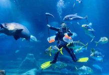 雙十國慶哪裡玩?各大樂園優惠看這裡 穿「藍白紅」免費 第2人只要10元 圖/交通部觀光署提供