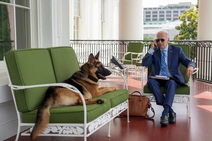 拜登去年確診居家工作時，曾在Instagram上分享他與愛犬「司令」的照片。圖／取自President Biden (@POTUS) / X