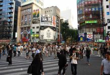 面對日本 台灣人成了「盤子」?! 台日觀光逆差其來有自 圖/Visual Hunt