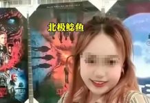 「北極鯰魚」坑爺成功 爺被調科員退休待遇 網友認罰太輕 「北極鯰魚」坑爺成功,爺爺下場可能會很慘。圖/取自微博