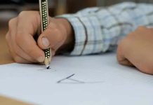 基隆小學生體身體不適爆群 12人上吐下瀉急就醫 圖/翻攝自pixabay