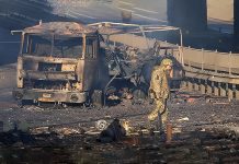 烏克蘭的黑天鵝 (圖/取自烏俄大戰論壇臉書)