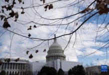 同黨20人跑票 美眾院議長首輪投票 川普盟友喬登落敗 川普盟友喬登在美國聯邦眾議院議長選舉的首輪投票敗北。圖/取自新華社