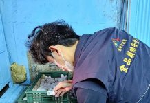 進口蛋加工液蛋流向揭露 知名食品廠赫然在列 台中市政府加強追查進口蛋流向。圖/盧秀燕臉書