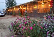 曾風靡全陸的「農家樂」 如今大規模倒閉 過去火爆的「農家樂」如今已日落西山。圖/引自微博