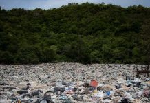 科學新發現!塑膠「吃起來」 圖/pexels