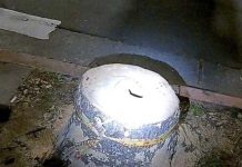 中秋節過了吳剛該回月球了! 男子鋸行道樹遭法辦 圖/翻攝畫面