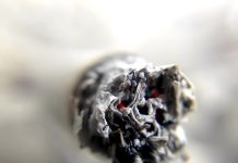 美國大麻使用創歷史新高 超過吸菸人次 圖/pixabay