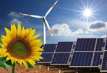 未來十年內、可再生能源將倍數成長 圖/John Academy