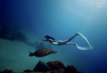 屏東最新形象影片 「屏東多向度」 飽覽國境之南人文風情與美景 屏東多向度劇照。圖/屏東傳播暨國際事務處