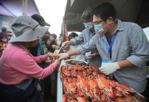 螃蟹肥了!11月26日淡水魚市販售萬里蟹新鮮漁獲 參加淨灘者可獲得螃蟹優先購買券,搶先選購現場攤位的超值熟蟹。圖/淡水區漁會