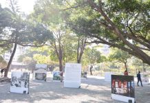 2023臺南國際攝影節「城像·成相」四大展區 盛大開幕 圖/台南新聞及國際關係處