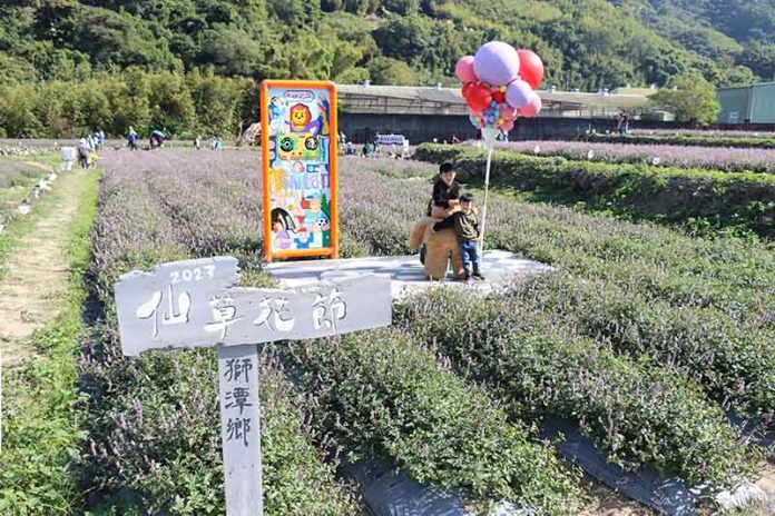 花田中的地景藝術吸引遊客拍照打卡。圖／苗栗縣政府