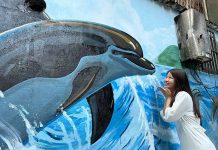 海豚遇見水鳥 一秒進入巷弄的奇幻之旅 哇!海豚彷彿從海面跳出了牆面,快來合照。圖/新北市政府