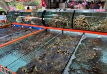 富基魚市推出「富基感蟹三重奏」 消費滿額享三重優惠 乾淨明亮高CP值水攤,歡迎來富基魚市消費觀光。圖/新北市政府