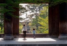 日本高齡少子化危機 企業倒閉潮降臨 圖/pexels