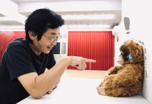 魏德聖回應郭台強:「我的頭有多大?就這麼大而已!」 圖/取自果子電影 x 米倉影業FB