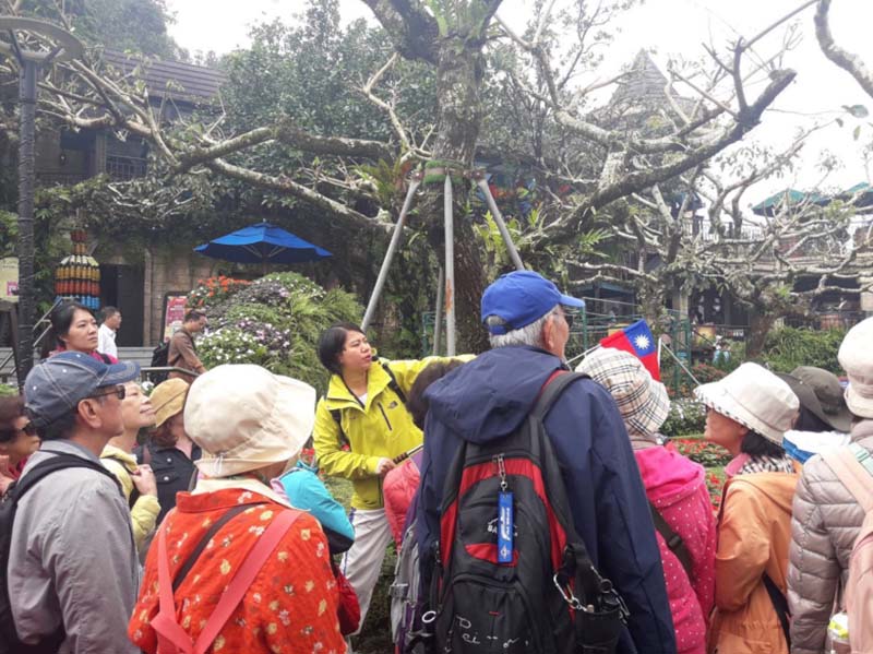 老人旅行團(楊正寬)