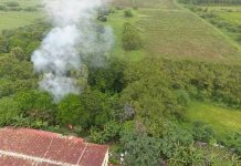 臺北市環保局啟動專案 禁止露天燃燒農業廢棄物 臺北市環保局無人機於第一時間查獲違法露天燃燒行為人。圖/臺北市政府環境保護局