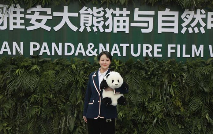 2023121365421 周海媚生前最後一次公開出席活動模樣曝光。圖/摘自微博