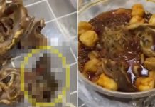 羊肉爐吃到半截老鼠 網友:我要吐了 圖/翻攝微博 江蘇鹽城射陽縣