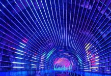 深澳鐵道自行車奪觀光獎項肯定 耶誕限定活動精彩登場 進入耶誕限定主題光雕隧道,就會發現騎著雪橇的聖誕老公公及聖誕樹。圖/新北市政府