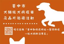 守護毛孩健康 中市明年1、2月疫苗及晶片巡迴注射將開跑 守護毛孩健康 中市明年1、2月疫苗及晶片巡迴注射將開跑。圖/台中市政府