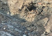 柯文哲農地挖出磚塊、鋼筋 竹市府發函30天限期清理 圖/卓冠廷臉書