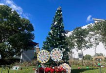 迪化污水處理廠休閒運動公園迎聖誕 應景裝飾超吸睛 迪化污水處理廠休閒運動公園聖誕樹及棒棒糖裝飾。圖/臺北市政府工務局