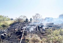 金湖鎮雜草燃燒引發火勢 消防獲報後迅速撲救 金湖鎮溪湖里下湖籃球場附近有雜草燃燒。在接獲通報後,火勢在歷時約30分鐘後得到控制。圖/消防局金湖分隊提供