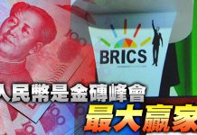 人民幣是金磚峰會最大贏家 (圖/獨家報導主筆室)