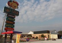 梅嶺梅花開 交通局1月6日啟動假日接駁 圖/台南市交通局