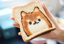 歷史性一刻!韓國通過法案全面禁食狗肉 示意圖/pexels