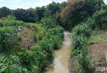 南市爭取五軍營排水治水經費 強化護岸結構 五軍營排水現況。圖/台南市水利局