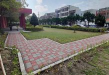 財稅局新化分局前庭人行道整修啟用 以人為本護樹共存 圖/台南市政府