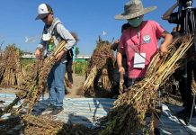 讓孩子視野更寬廣!南市「食農遊學地圖」攜手親師生走出教室,以行動體驗臺南豐饒物產 圖/台南市教育局