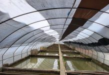 強烈冷氣團即將襲來!黃偉哲請農友加強防寒措施 魚塭防風棚搭設。圖/台南市政府