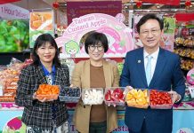 臺東鳳梨釋迦鮮果今正式上架新加坡超市 圖/臺東縣政府